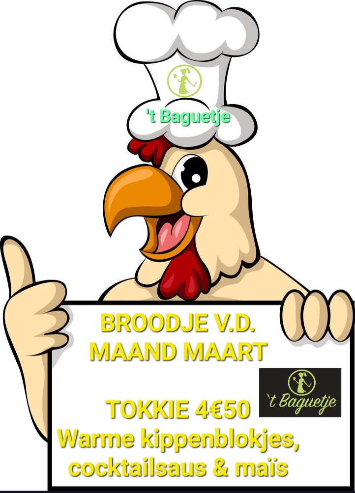 signature funny cartoon chicken with blank sign vector